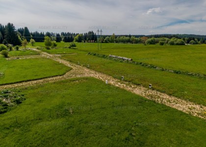Prodej stavebního pozemku 213/39, 567 m², obec Zádub-Závišín, Mariánské Lázně.