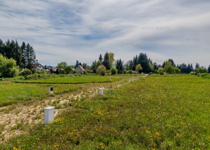 Prodej stavebního pozemku 213/39, 567 m², obec Zádub-Závišín, Mariánské Lázně.