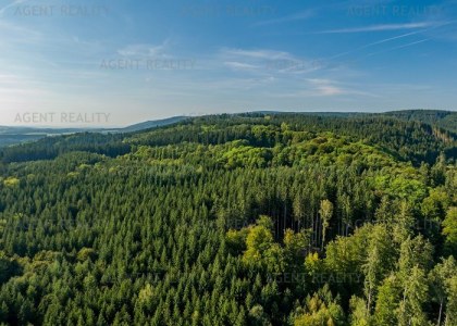 Prodej pozemku 995 m2, obec Zádub-Závišín, Mariánské Lázně.