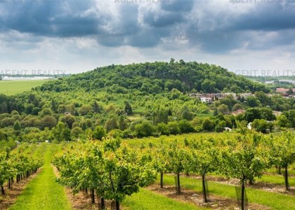 Prodej bytu 2+1, 49m2, ulice Smetáčkova, Slaný